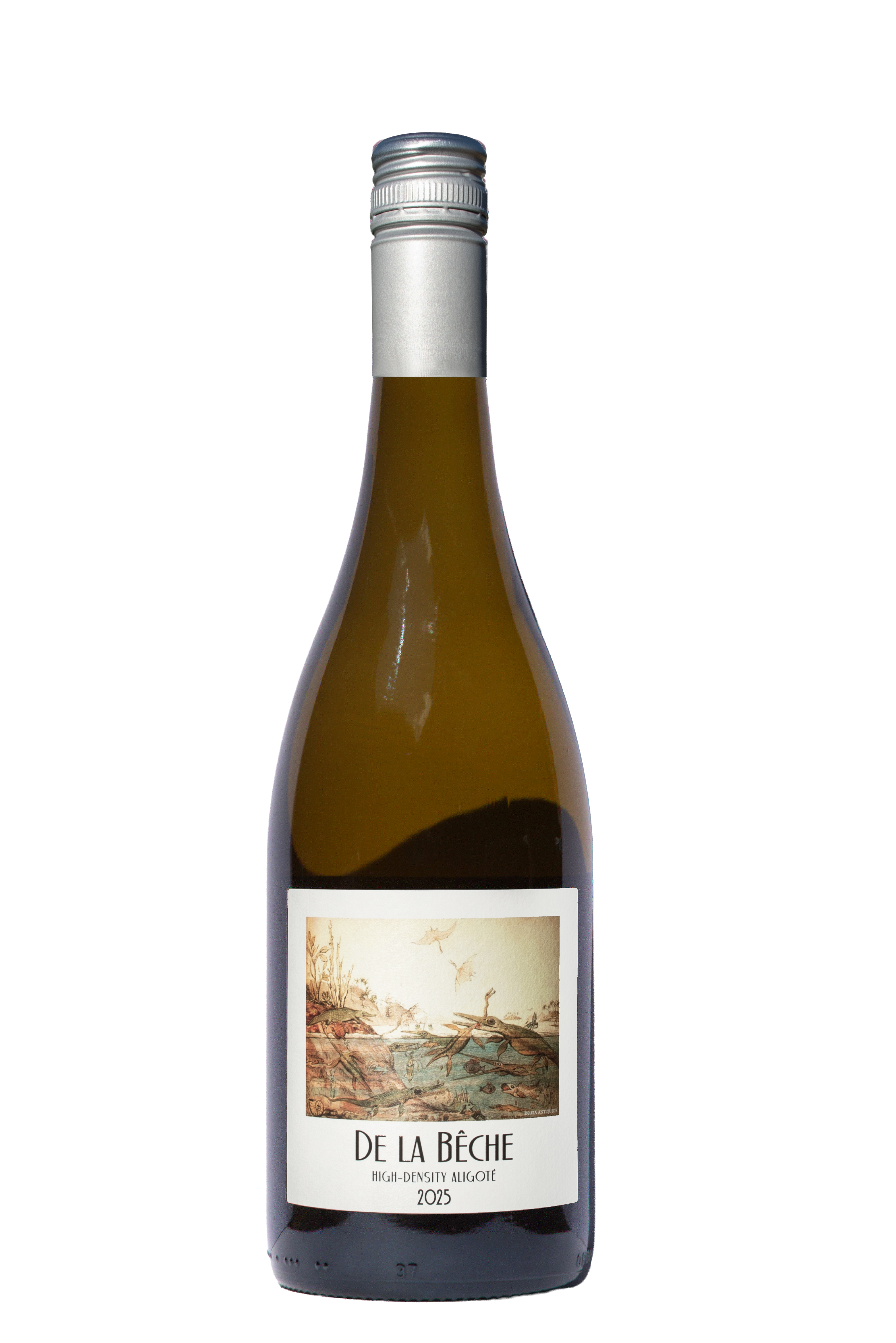 De La Bêche High-Density Aligoté 2025